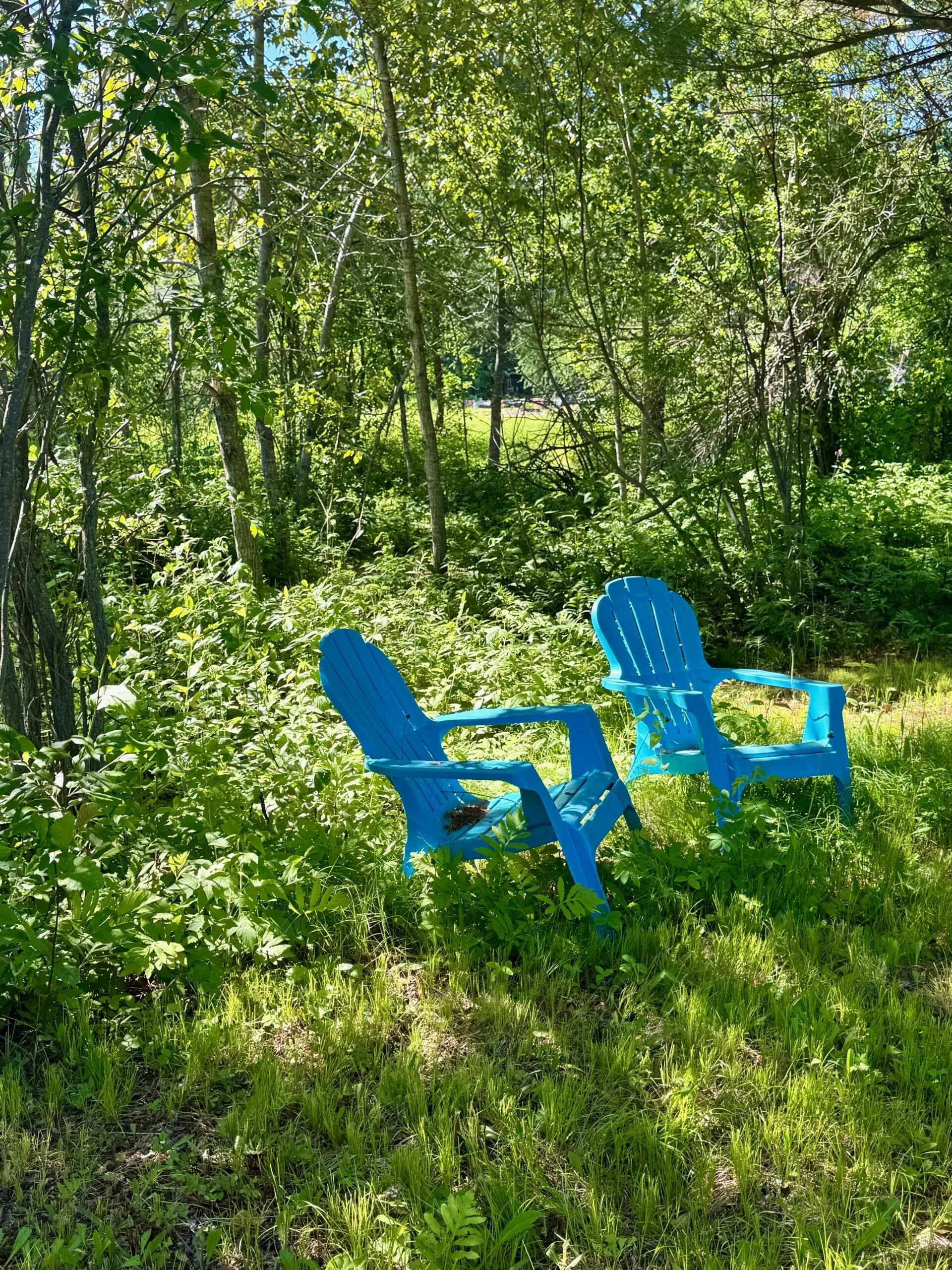 Two blue chairs in the woods